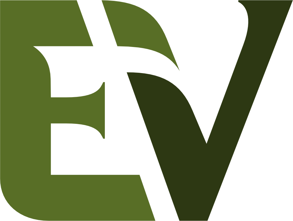 EV BPO Financeiro